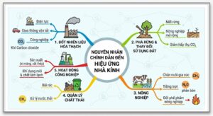 nhung-nguyen-nhan-gay-hieu-ung-nha-kinh